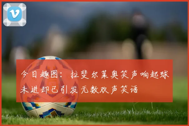 今日趣图：拉斐尔莱奥笑声响起球未进却已引发无数欢声笑语