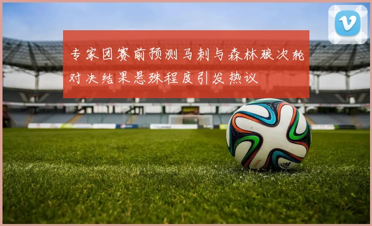 专家团赛前预测马刺与森林狼次轮对决结果悬殊程度引发热议