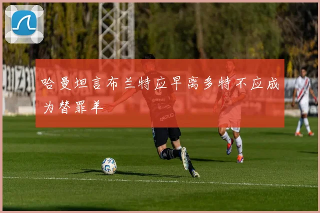 哈曼坦言布兰特应早离多特不应成为替罪羊