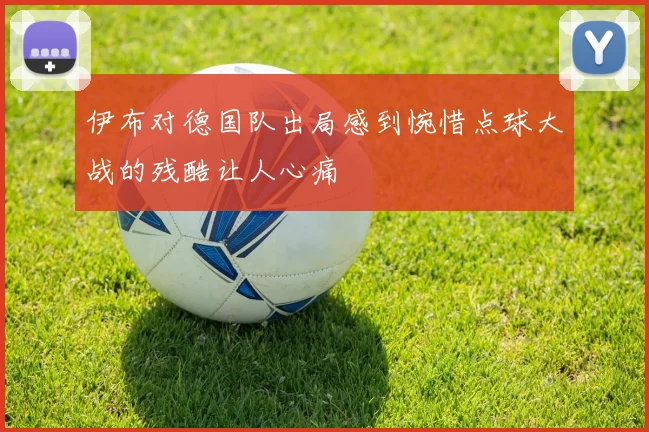 伊布对德国队出局感到惋惜点球大战的残酷让人心痛